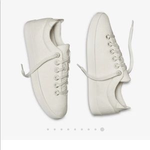 All birds limited edition wool Piper sneakers